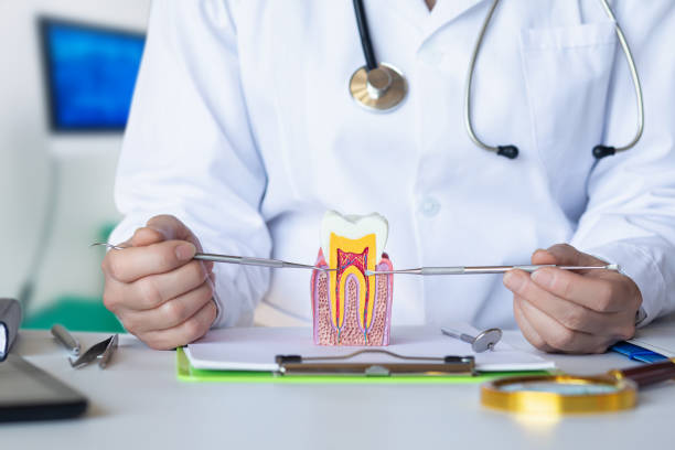 Best Broken or Cracked Tooth Emergency Dentist in Susquehanna Trails, PA